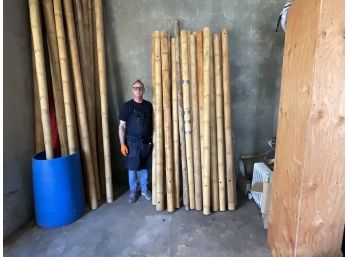 Large Pieces Of Bamboo For Garden, Tiki Bar, Building  21 Pieces 177' 4' Dia (#0142)