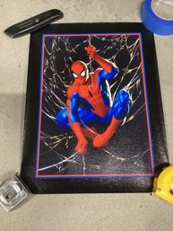 Spider Man Print On Canvas