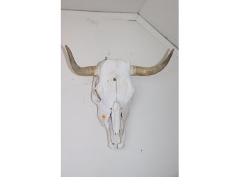 Genuine Cow Skull With Horns