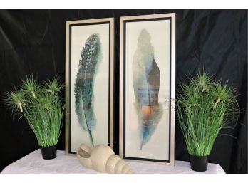 Beautiful Feather Prints In A Brushed Nickel Finished Frame, Decorative Plants & Kampong Seashell