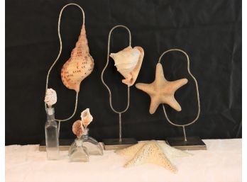 Decorative Seashell Stands & Starfish Decor, Includes Bottles Great For Beach Theme