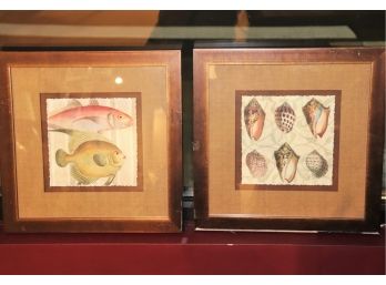 Under The Sea Prints In Matted Frames