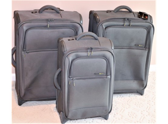 Delsey Lightweight 3 Pc Luggage