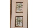 Pretty Dragonfly Print In A Matted Frame
