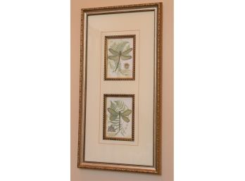 Pretty Dragonfly Print In A Matted Frame