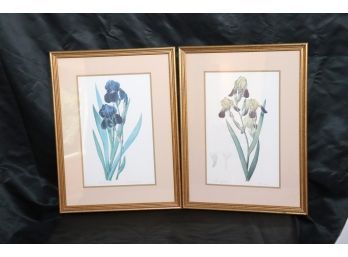 Pair Of Pretty Floral Iris Prints In A Matted Gold Frame - P J Redoute Pinoc
