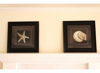 Nautical Seashell/Starfish Print In Frame