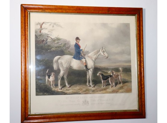 Antique English Equestrian Print Of Mr. Will Long On Bertha . In Handsome Burl Wood Frame