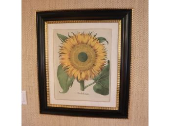Besser Sunflower Print In Mahogany Frame