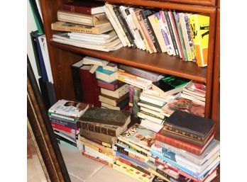 Lot Of Assorted Books & Novels