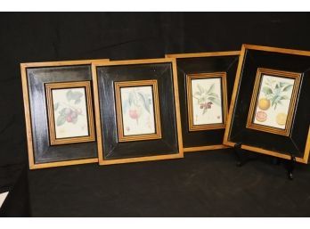 Collection Of Framed Fruit Prints