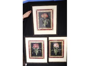Set Of 3 Floral Prints With Pretty Colors