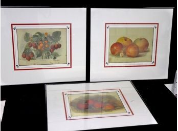 Set Of 3 Framed Fruit Still Life Prints In Matted Frames