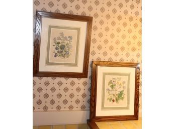 Set Of Two Matted Botanical Prints In Quality Wood Frame. Measures 20 Inches Tall By 18 Inches Wide.