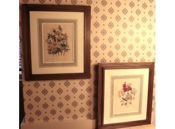 Set Of Two Matted Botanical Prints In Quality Wood Frame. Measures 20 Inches Tall By 18 Inches Wide.