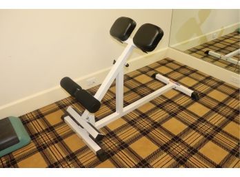 York USA AB And Back Strengthening Fitness And Work Out Equipment, Gym, Exercise