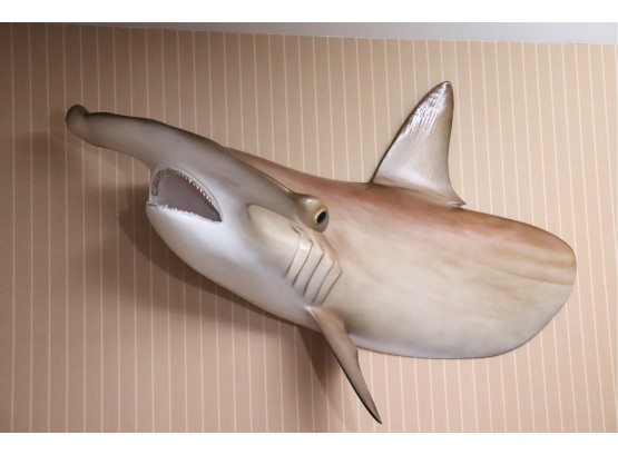 63.Large Hammer Head Shark Wall Mount Approximately 48 X 24 X 32 Inches