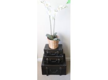 Decorative Stacking Trunks With Faux Orchid Plant