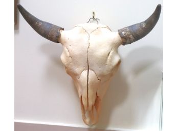 Large Real Buffalo Skull Approx. 26 Inches X 24 Inches