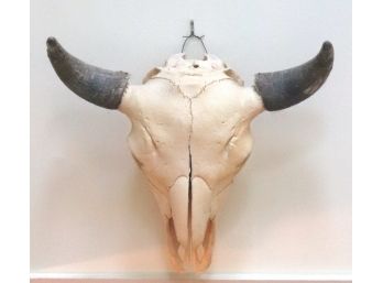 Large Real Buffalo Skull Approx. 26 Inches X 24 Inches