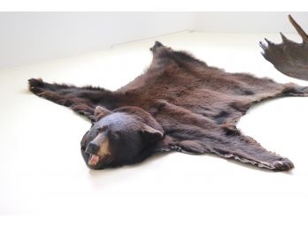 Large Brown Bear Rug This Is A Large Bear Approximately 6 Feet X 9 Feet Long