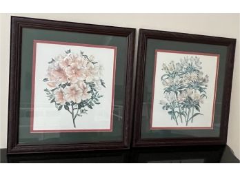 Pair Of Matted & Framed Floral Prints
