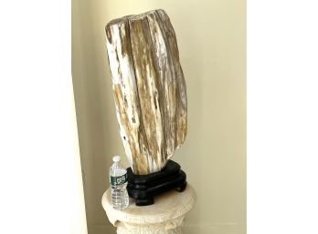 Amazing Large Polished Petrified Wood On Stand With Beautiful Natural Striations