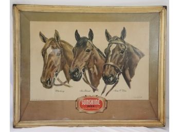 Really Cool Original Vintage Sunshine Beer Seabiscuit Advertising Poster Print In In The Frame By D. Lar