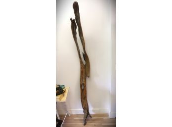 Long Piece Of Driftwood Approximately 9 Inches X 88 Inches