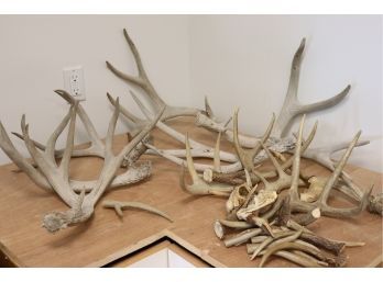 Reclaimed Antler Pieces Great For Arts & Crafts