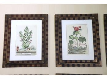 Set Of High-End Trowbridge Botanical Prints In Quality Painted Checkered Style Frames