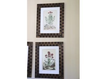 Set Of High-End Trowbridge Botanical Prints In Quality Painted Checkered Style Frames