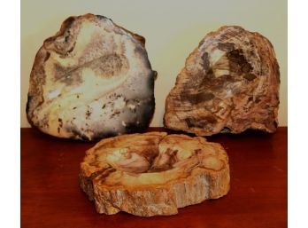 Lot Of 3 Vintage Petrified Wood Slabs / Ashtrays / Home Decor