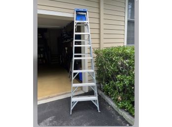 Werner 8 Foot Aluminum Ladder With 250lb Capacity & Magna Accessory Cart