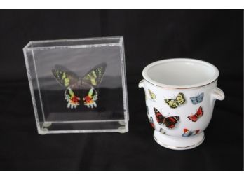 Colorful Framed Butterfly & Porcelain Urn