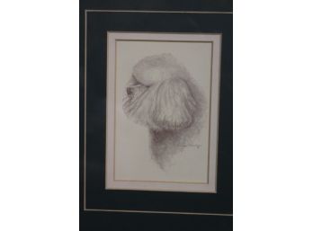 Signed Lithograph Of Precious Coiffed Poodle By Andrea Churches