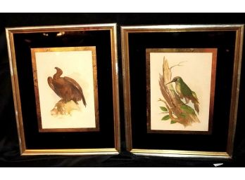 Two Vintage Bird Prints With Gold Leaf Matting