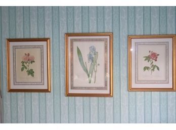 Set Of 3 Botanical Prints Of Wildflowers In Gilded Matted Frames