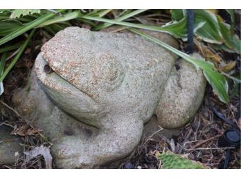 Cement Lawn Frog Fountain Sculpture - Approx 9 X 14 X 9 Inches