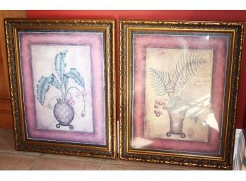 Set Of Framed Botanical Prints