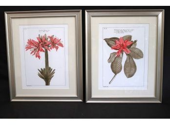 2 Framed Botanical Prints Great For Your Home Decor