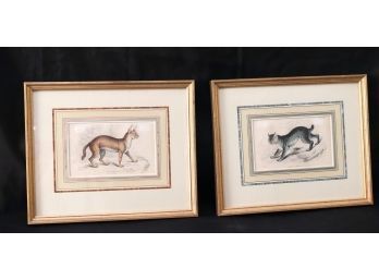 Set Of 2 Vintage Framed Feline Prints Includes Felis Caracal & Felis Canadensis