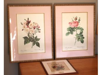 Three Framed Botanical Prints Featuring Pink Roses & Strawberries