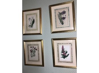 Set Of 4 Decorative Floral Prints In Gold Frame S. Holden Del & Lith