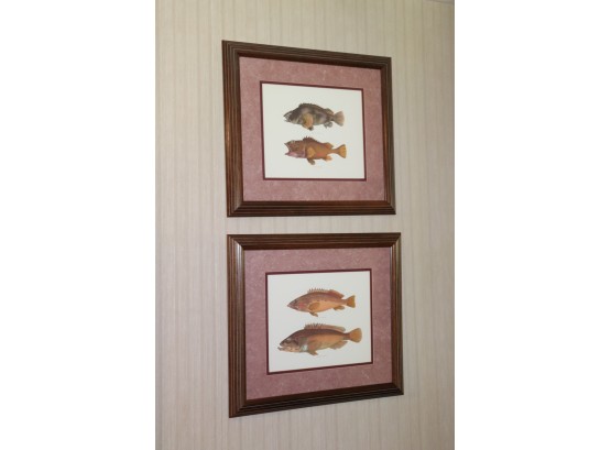 Set Of Fish Prints In Double Matted Wood Frame