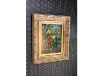 Signed Parrot Oil Painting By C. Collins
