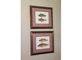 Set Of Fish Prints In Double Matted Wood Frame