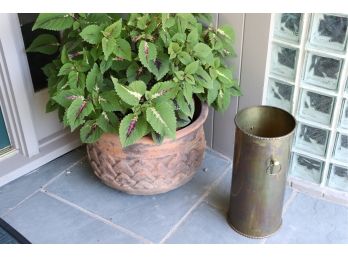 Large Planter With Plant And Brass Umbrella Holder