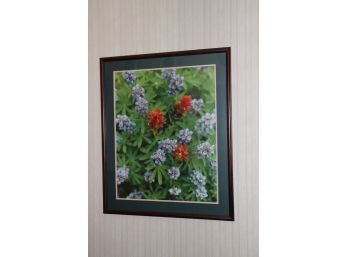 Framed Floral Still Life Photograph Beautiful Flowers Measures 37 ' L X 31' W