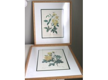 Set Of Floral Prints In Gold Frames